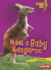 Meet a Baby Kangaroo Format: Paperback