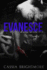 Evanesce (the Darkness Series) (Volume 2)