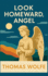 Look Homeward, Angel