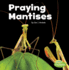 Praying Mantises (Little Critters)