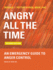 Angry All the Time: an Emergency Guide to Anger Control