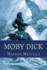 Moby Dick: the Whale