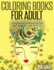 Coloring Books for Adults Stress Relieving Patterns: Memories: Lovink Coloring Books