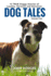 Dog Tales Vol 2: 12 TRUE Dog Stories of Loyalty, Heroism and Devotion + FREE Easy Doggy Health book