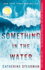Something in the Water: a Novel
