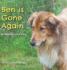 Ben Is Gone Again: In Search of a Dog