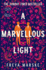 A Marvellous Light: a dazzling, queer romantic fantasy