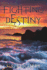 Fighting Destiny