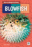 Blowfish (Weird and Wonderful Animals)
