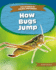 How Bugs Jump (Science of Animal Movement)
