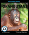 My Favorite Animal: Orangutans