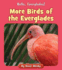 More Birds of the Everglades (Hello, Everglades! )