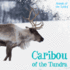 Caribou of the Tundra (Animals of the Tundra)