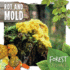 Rot and Mold (Forest Explorer)