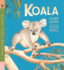 Koala: Read and Wonder