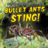 Bullet Ants Sting!