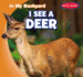 I See a Deer (in My Backyard)