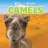 Camels (Wild and Woolly)