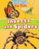 Insects and Spiders (Cool Pets for Kids)