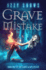 Grave Mistake (Codex Blair)