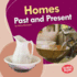 Homes Past and Present Format: Library Bound