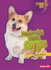 Pembroke Welsh Corgis (Lightning Bolt Books ? Who's a Good Dog? )