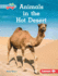 Animals in the Hot Desert