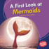 A First Look at Mermaids Format: Library Bound