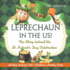 Leprechaun In The US! The Story behind the St. Patrick's Day Celebration - Holiday Book for Kids Children's Holiday Books