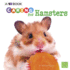 Caring for Hamsters: a 4d Book