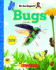Bugs (Be an Expert! )