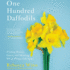 One Hundred Daffodils Lib/E: Finding Beauty, Grace, and Meaning When Things Fall Apart