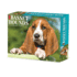 CAL 25 JUST BASSET HOUNDS 2025 BOX