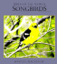 Songbirds (Birds of the World)