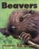 Beavers (Kids Can Press Wildlife Series)