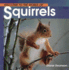 Welcome to the World of Squirrels (Welcome to the World Series)