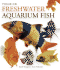 Focus on Freshwater Aquarium Fish