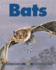 Bats (Kids Can Press Wildlife Series)