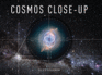 Cosmos Close-Up