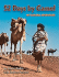 52 Days By Camel: My Sahara Adventure