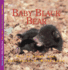 Baby Black Bear (Nature Babies)