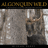 Algonquin Wild: a Naturalist's Journey Through the Seasons