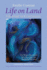 Life on Land: the Story of Continuum, the World-Renowned Self-Discovery and Movement Method