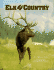 Elk Country-Osi