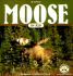 Moose for Kids (Wildlife for Kids Series) Fair, Jeff