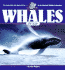 Whales for Kids (Wildlife for Kids Series)