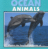 Ocean Animals (Our Wild World)