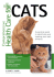 Comprehensive Health Care for Cats