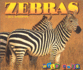 Zebras Wild Ones