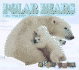 Polar Bears (Wild Ones)